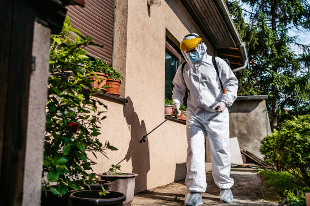 Best Rat Extermination Near Me  in Croswell, MI