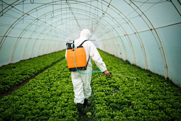 Best Emergency Pest Control  in Croswell, MI