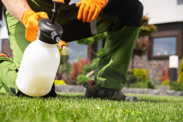 Best Termite Control Services  in Croswell, MI
