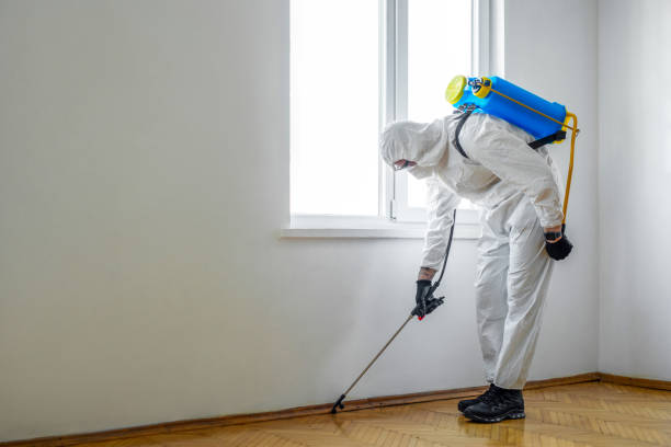 Best Cockroach Control Services  in Croswell, MI