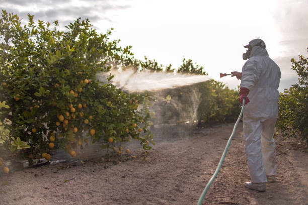 Best Ant Control Services  in Croswell, MI