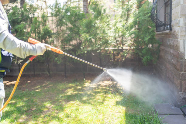 Best Mosquito Control Services  in Croswell, MI