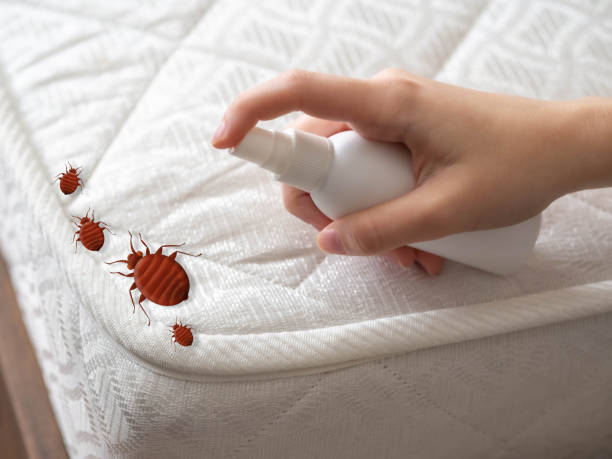 Best Best Pest Control Companies  in Croswell, MI