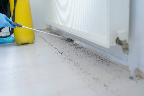 Best Pest Inspection Near Me  in Croswell, MI