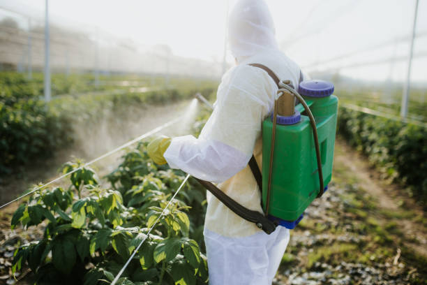 Best Flea Control Services  in Croswell, MI